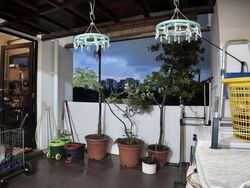 Blk 408 Pasir Ris Drive 6 (Pasir Ris), HDB Executive #551254581